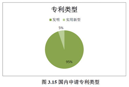 01期丨未来可期，浅析我国芯片相关专利发展现状(图5)